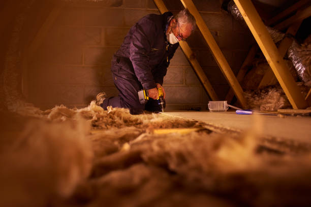 Best Insulation Replacement  in Flossmoor, IL